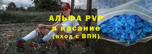 СК Алзамай