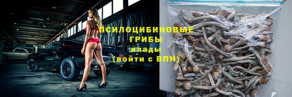 трава Протвино