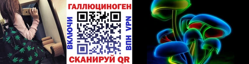 где продают наркотики  Грязовец  Псилоцибиновые грибы GOLDEN TEACHER 