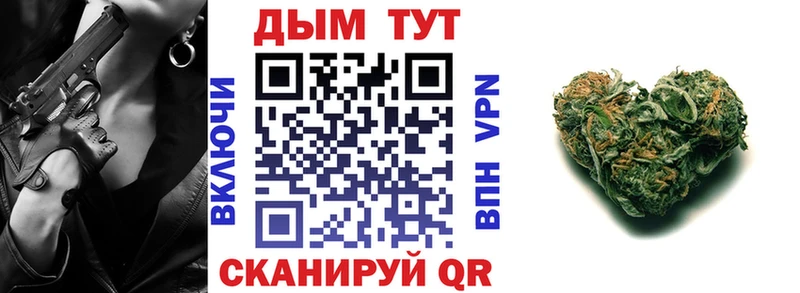 Каннабис OG Kush  Грязовец 